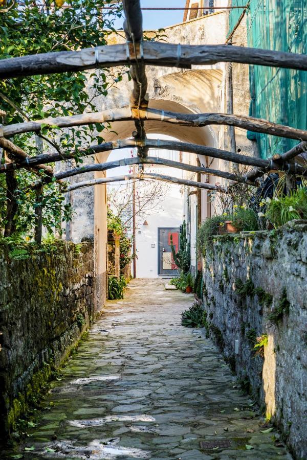 فيلا Mirasole House ماسّا لوبْرينسِ المظهر الخارجي الصورة